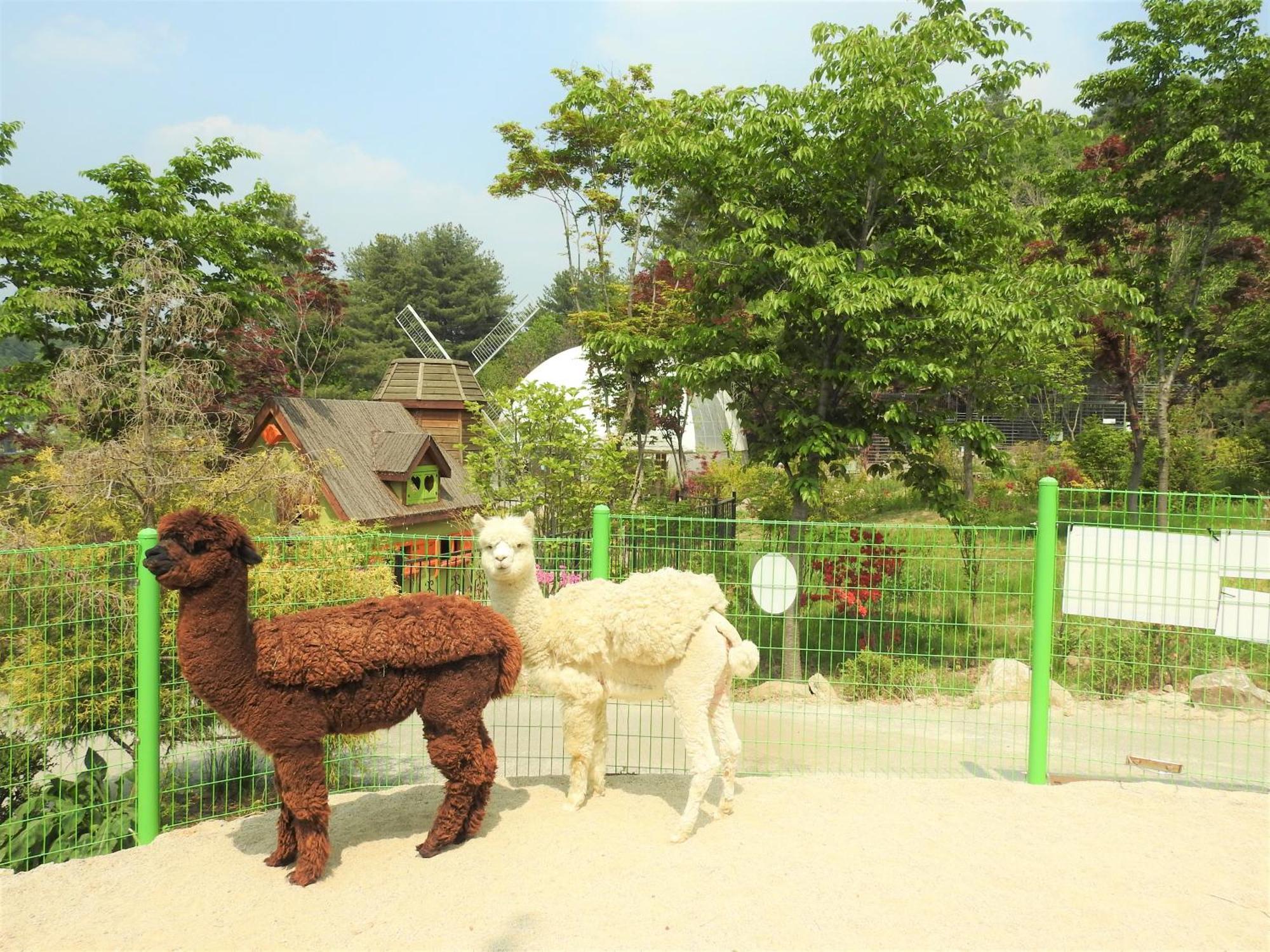 Kensington Resort Gapyeong Exterior foto